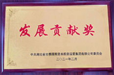 發(fā)展貢獻獎